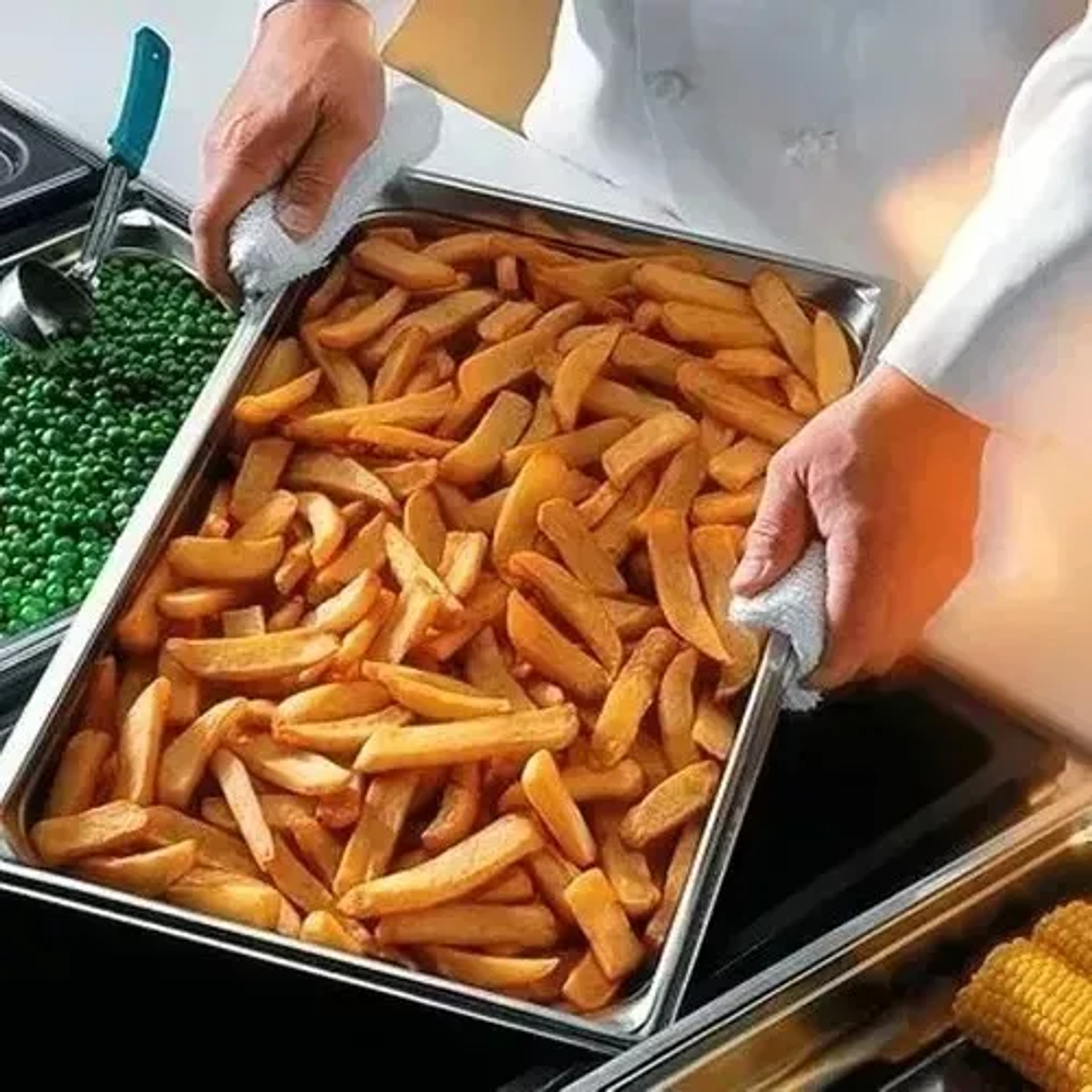 Contenedor Cambro Deposito Gastronómico Con Tapa 32x17cm 1/3 3