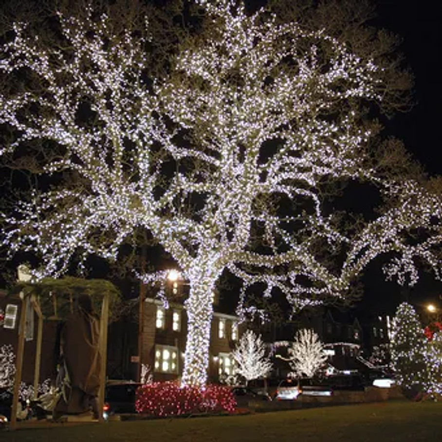 Guirnalda Led En Rollo 50 Metros Luz Calida Corriente Navidad Festejo 3