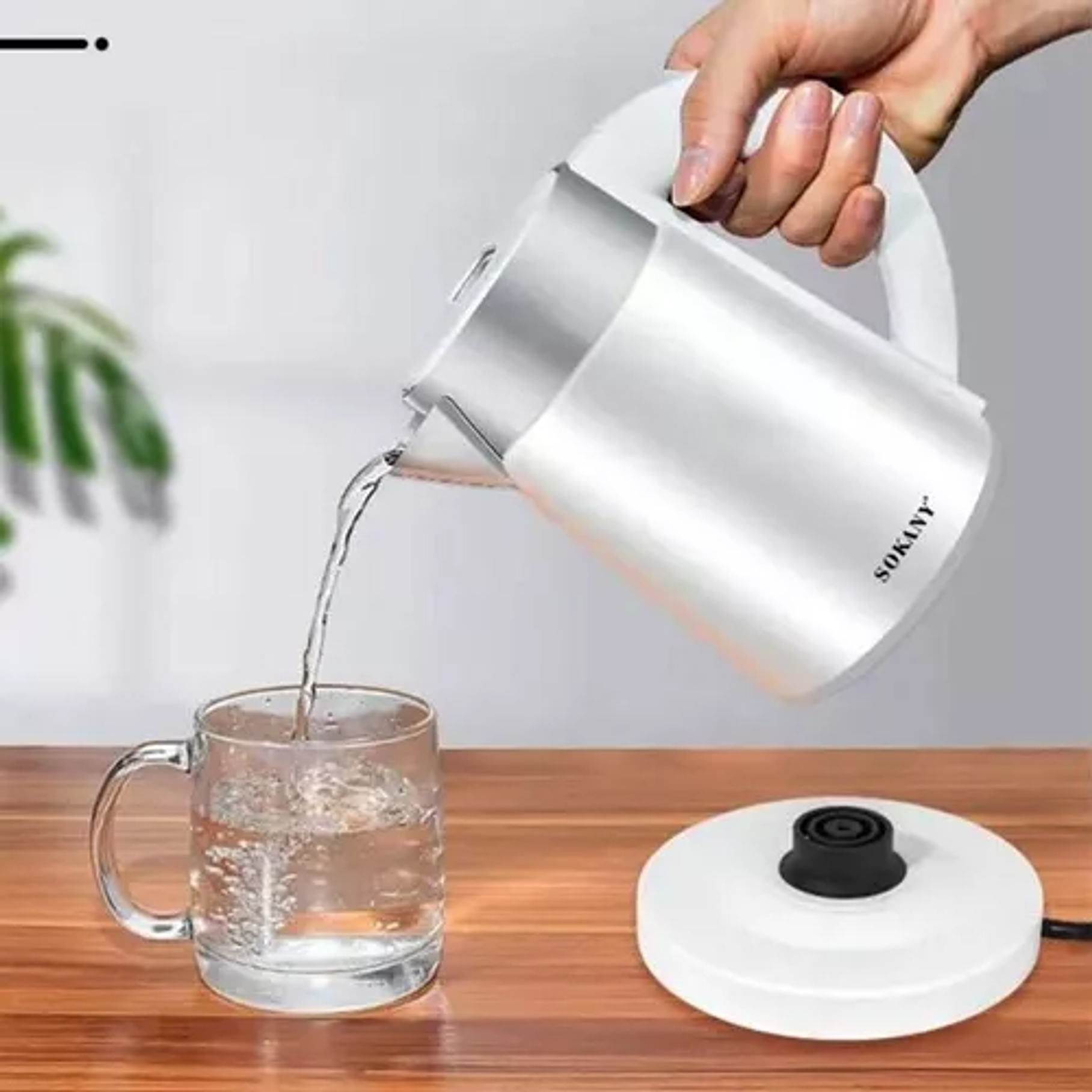 Hervidor Mini Calentador Eléctrico Individual 4