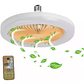 Ventiladores De Techo Led Con Control Remoto De Luz Soquete Movible  - Miniatura 1