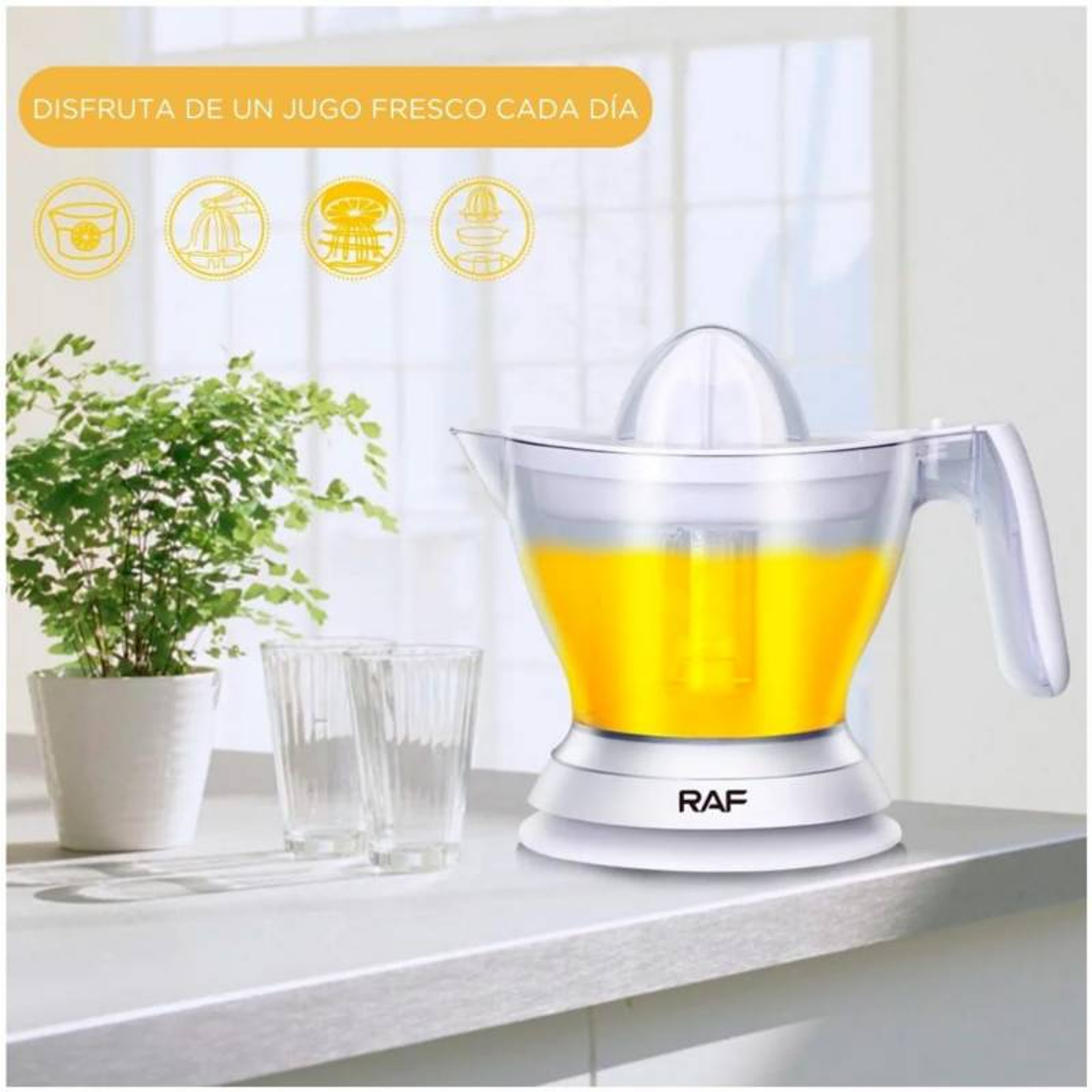 Exprimidor de Cítricos Naranjas Eléctrico RAF  6