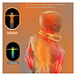 Calentador Cuello Inalámbrico 4 Niveles Calor Recargable Usb - Miniatura 3