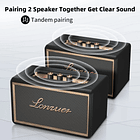 Parlante Lonwer BT  Vintage Ultra Music 2