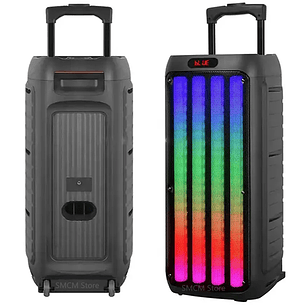 Parlante Bluetooth Radio Fm Luces Micrófono Color Negro