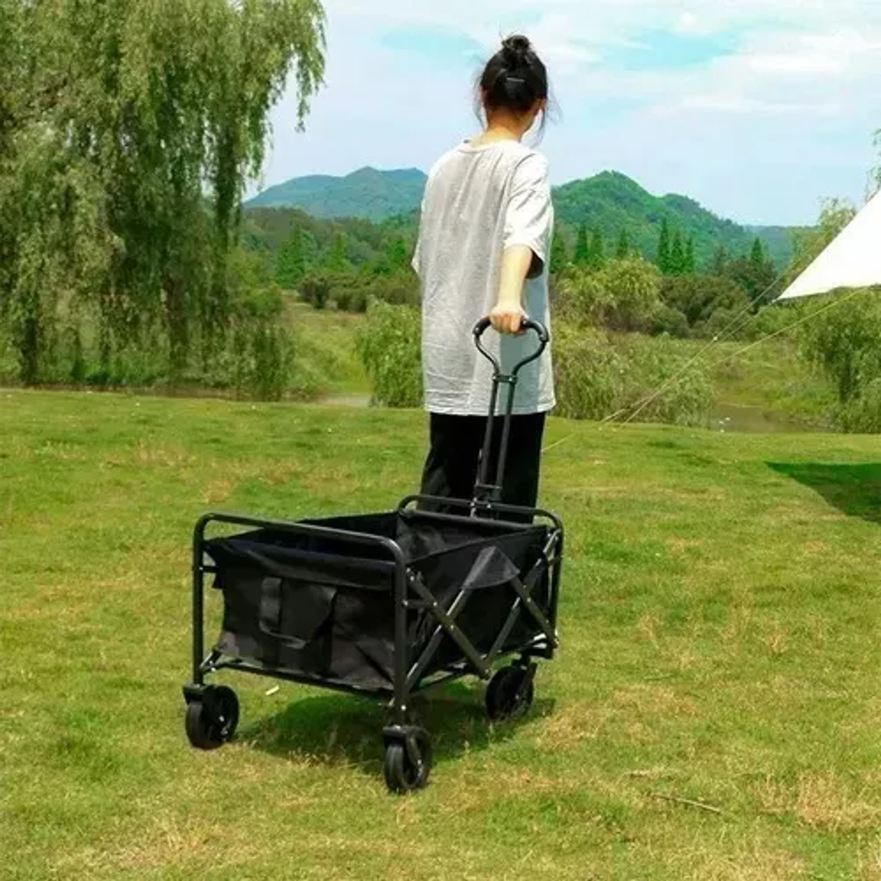 Carro De Mano Genérica Carros Campingo Aire Libre Color Negro 4