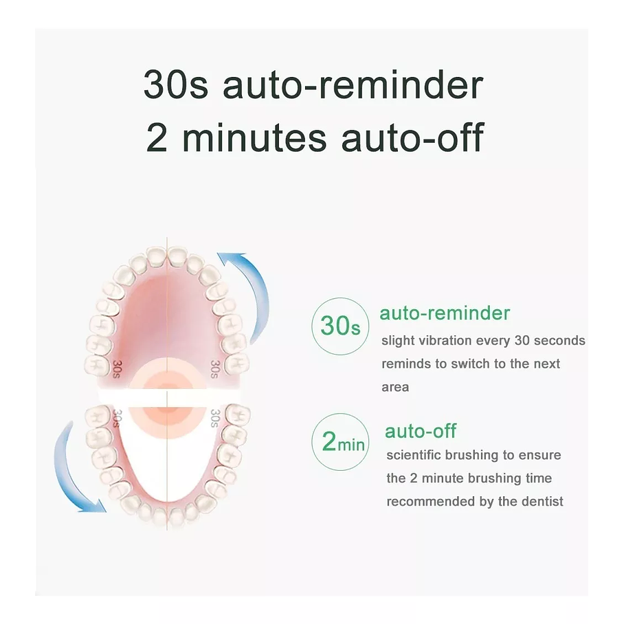 Cepillo Dientes Eléctrico Recargable Usb Limpieza  15