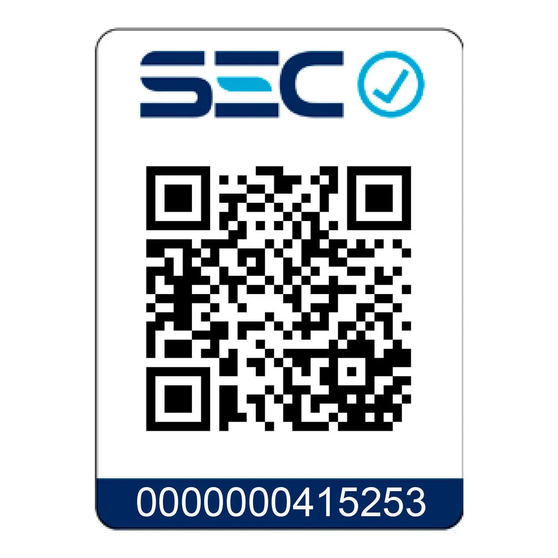 Minipimer Blaupunkt Powerblade 3000 Color Plateado Acero Inoxidable 8