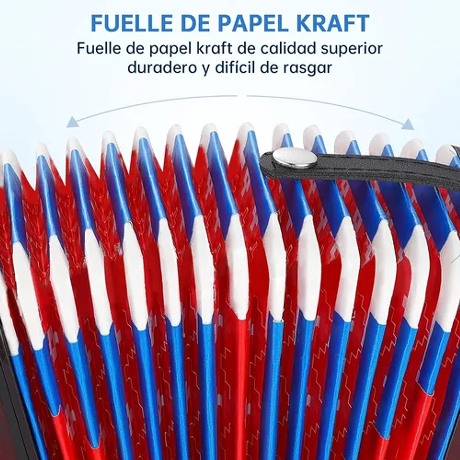 Acordeón 17 Teclas 8 Botones De Bajo Mediano Kids Nutech Negro Instrumento Musical De Aprender Para Niños  9