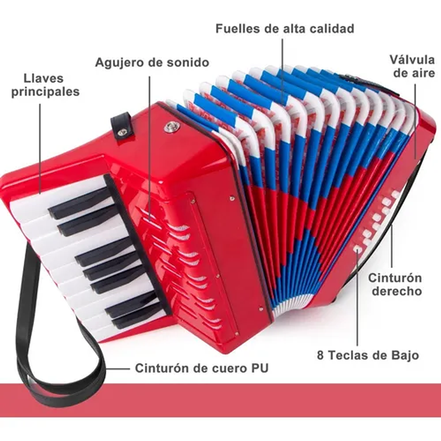 Acordeón 17 Teclas 8 Botones De Bajo Mediano Kids Nutech Color Rojo Instrumento Musical De Aprender Para Niños  8
