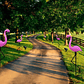 Pack 3 Flamingo Luces Led Solar Estaca Decoración Jardín Exterior Carga Solar Encendido Automático - Miniatura 4