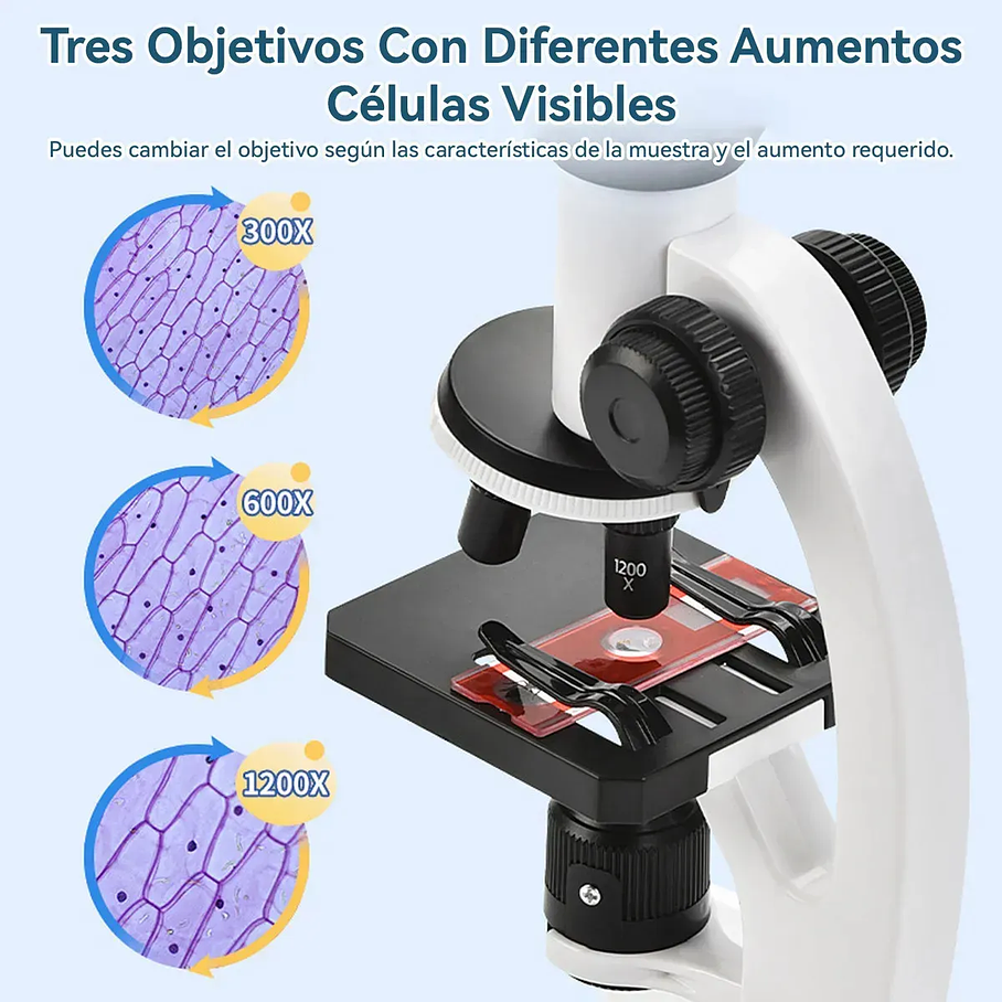 Microscopio Óptico Compuesto Didáctico 1200x Con Luz Led 8 Colores Para Niños Aprendizaje 2RL 5