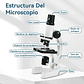 Microscopio Óptico Compuesto Didáctico 1200x Con Luz Led 8 Colores Para Niños Aprendizaje 2RL - Miniatura 6