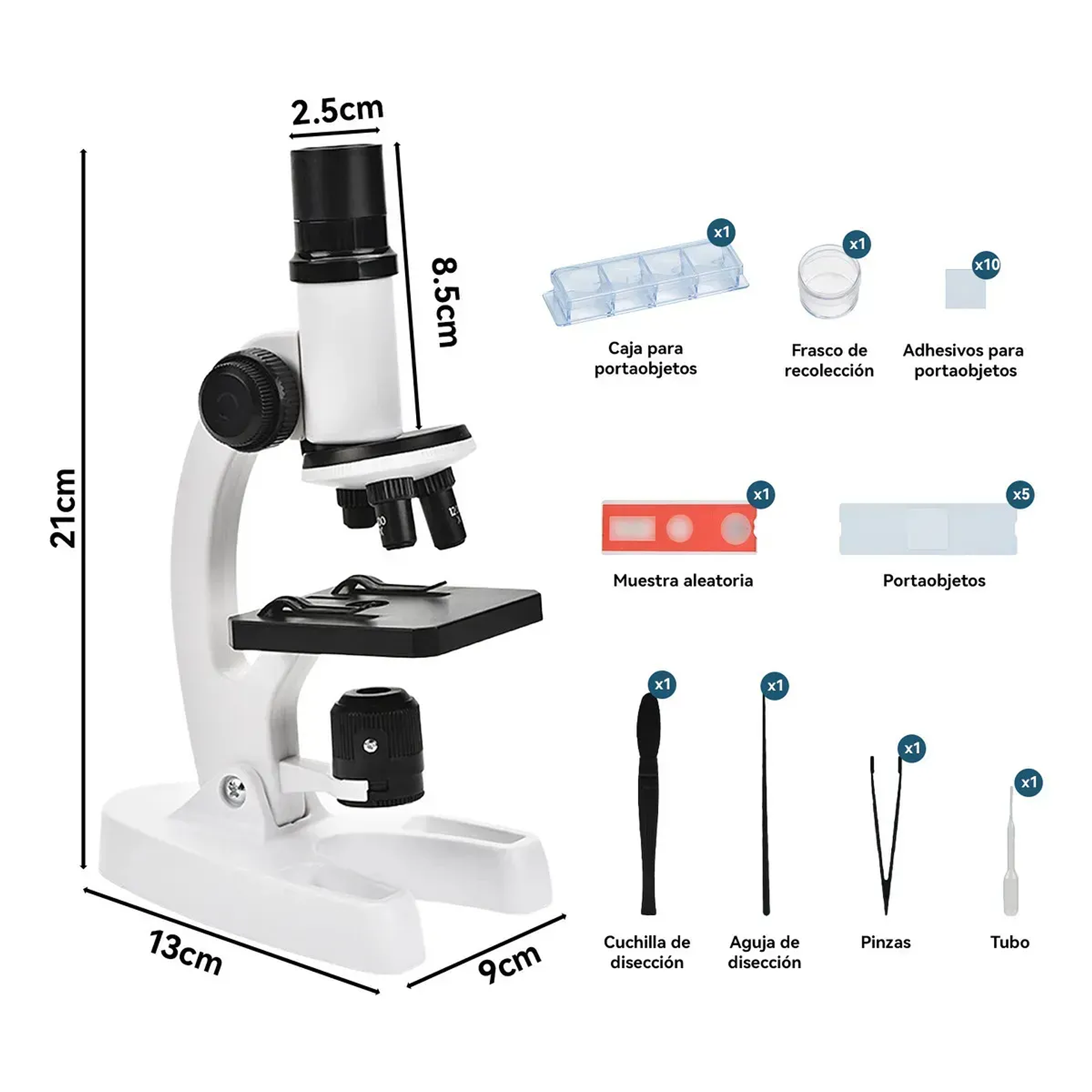 Microscopio Óptico Compuesto Didáctico 1200x Con Luz Led 8 Colores Para Niños Aprendizaje 2RL 8