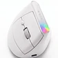 Mouse Vertical Inalámbrico Ergonómico WB-889 - 5 Colores BK/PK/BL/PU/WH - Miniatura 4