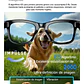 Lentes Gafas Inteligentes Ai Cámara 2k Traductor Wifi Audio Ai Smart Glasses G5 Camara Vidrio Cambiable  - Miniatura 6