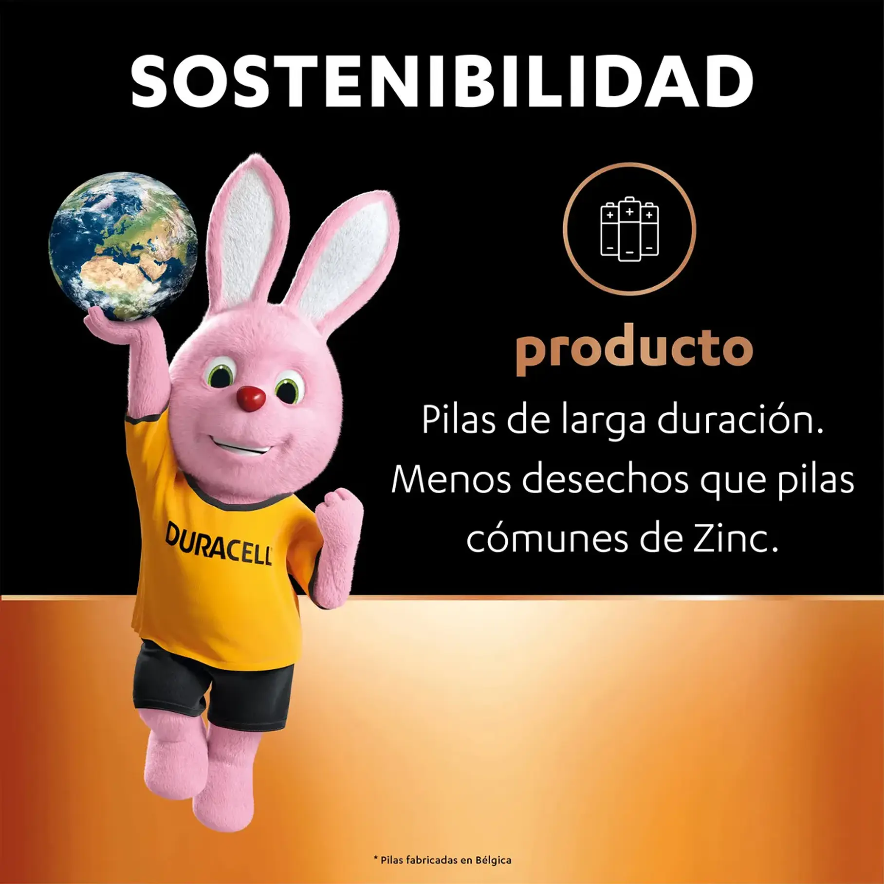 Pila Duracell Mn 21/23 (1 Pila, Dura Más) 4