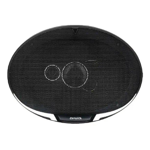 Parlantes Para Auto 6x9 2 Vías Cm 300 Watts Aiwa Taw-6944 Color Negro