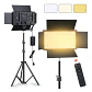 Kit Profesional Luz Relleno Con Trípode Reflector Pro 600led Estructura Negro Luz Blanco frío. - Miniatura 6