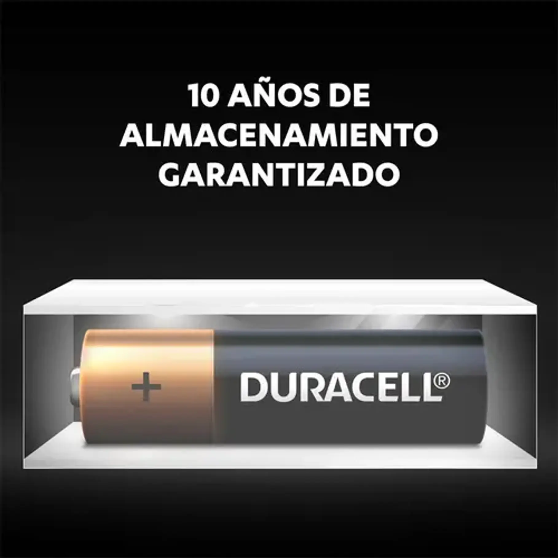 Duracell Pilas x24 Caja Doble AA, Larga Duración 1.5v, 24 Pilas Alcalinas. 4