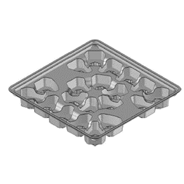 Blister Zanzibar - 20 Arvores 