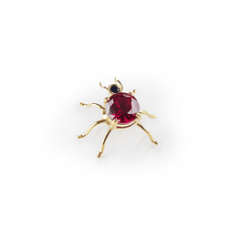 Bug with Red Gemstone - Round