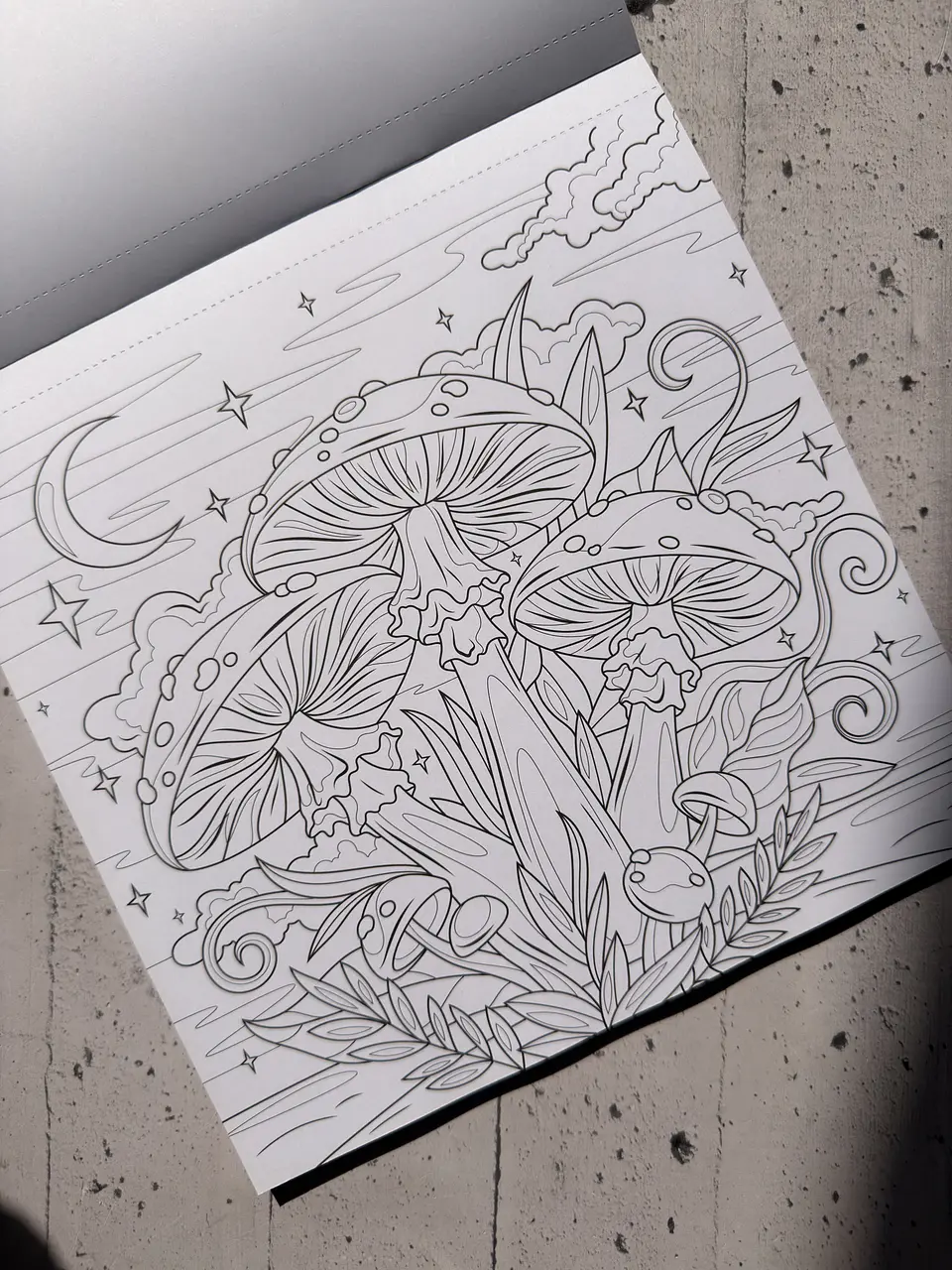 Libro para colorear  1