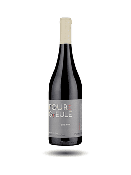 Clos des Fous - Pour ma Gueule, Pinot Noir, 2015
