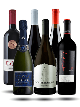 7_ Caja Premiums Vinos Chilenos