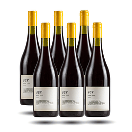 Villard - JCV, Pinot Noir, 2020