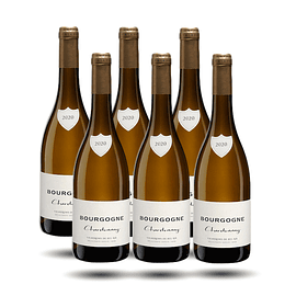 Bourgogne - Les Vignerons de Bel-Air, Chardonnay, 2021