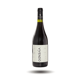 Calyptra - Vivendo, Pinot Noir, 2021