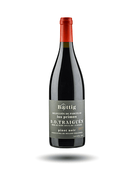 Baettig - Los Primos, Pinot Noir, 2020