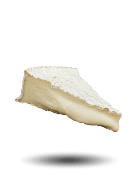 Brie de Chèvre - Soignon