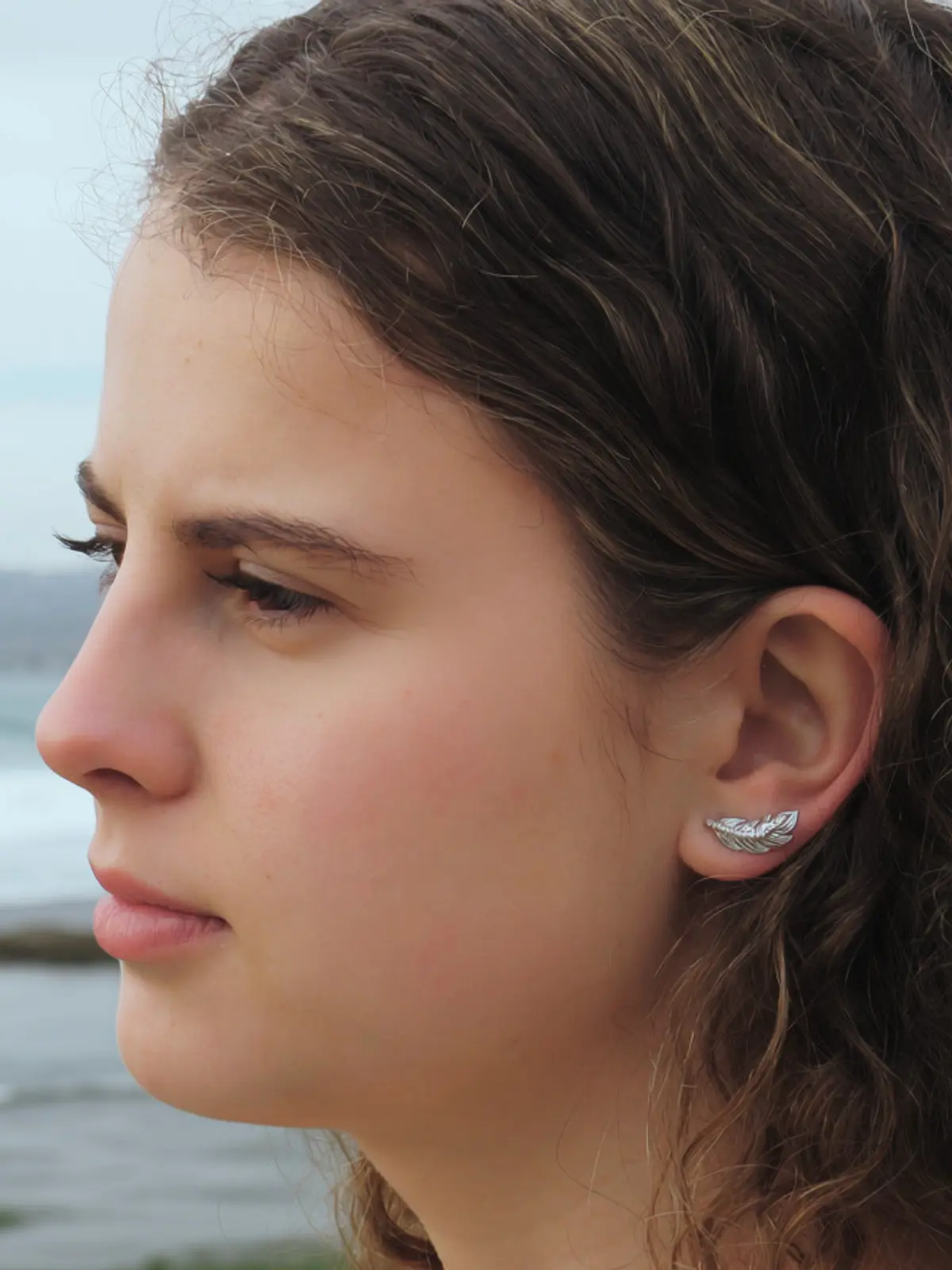 Título del banner