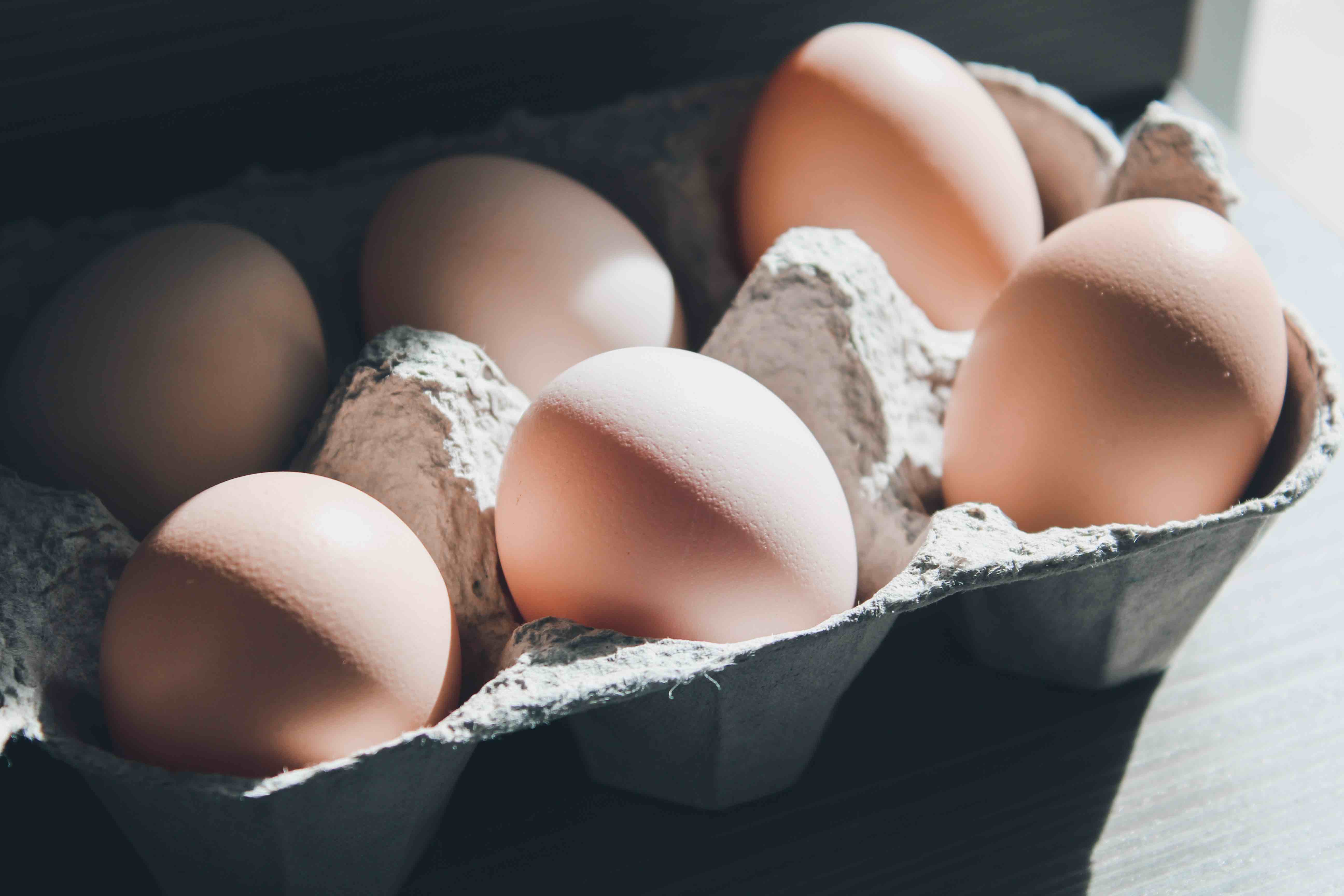 ¿Las cajas de huevo sirven para aislar el ruido?