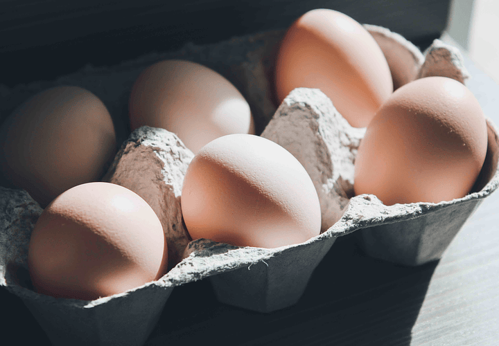 ¿Las cajas de huevo sirven para aislar el ruido?
