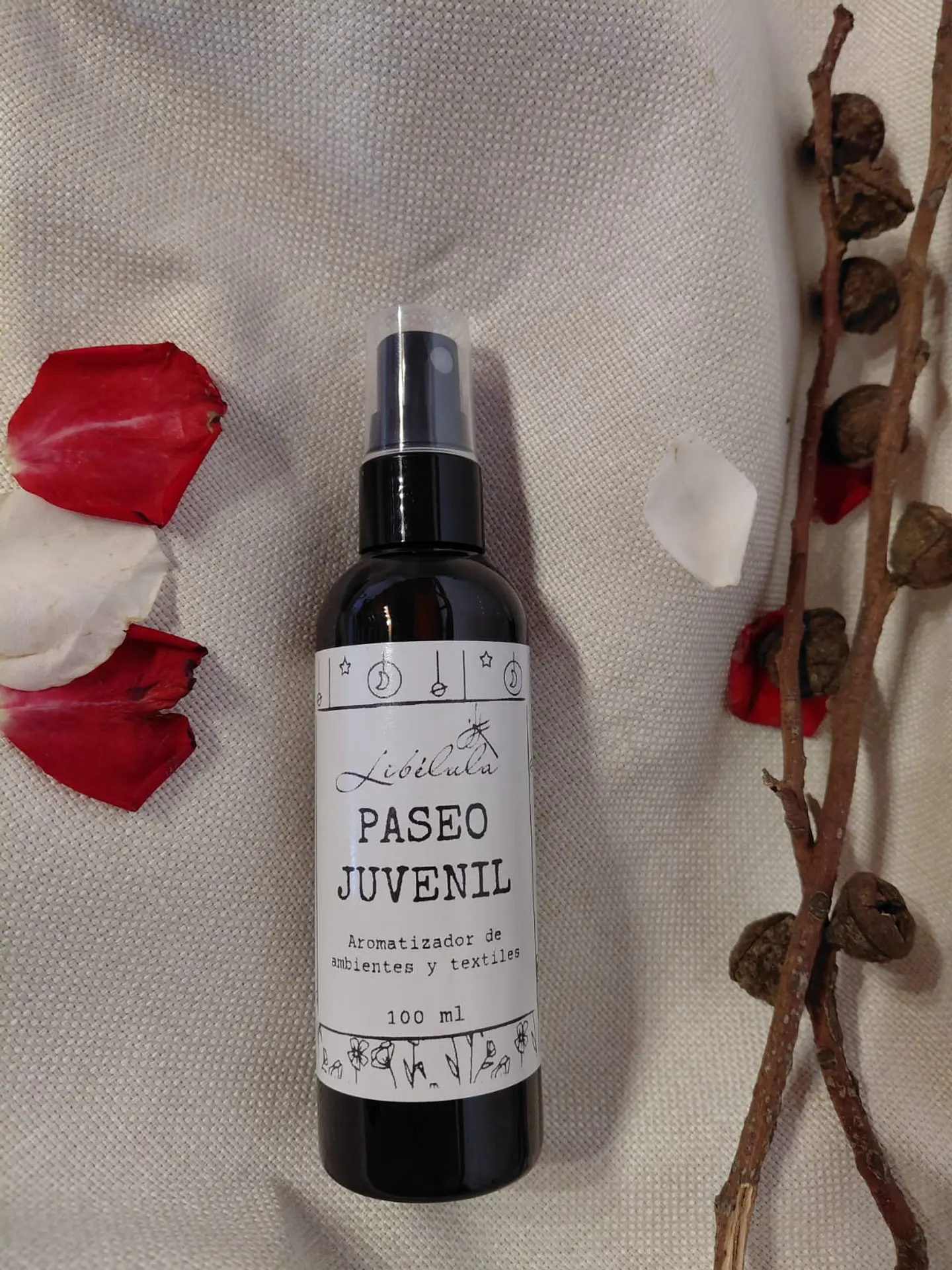 Paseo Juvenil 5