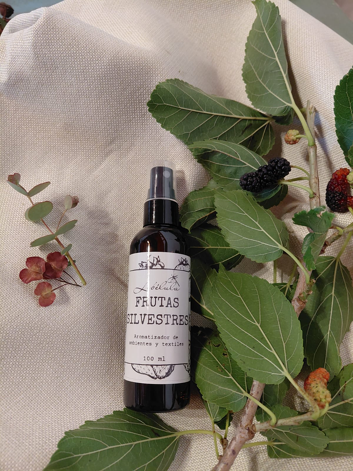 Frutas Silvestres  1