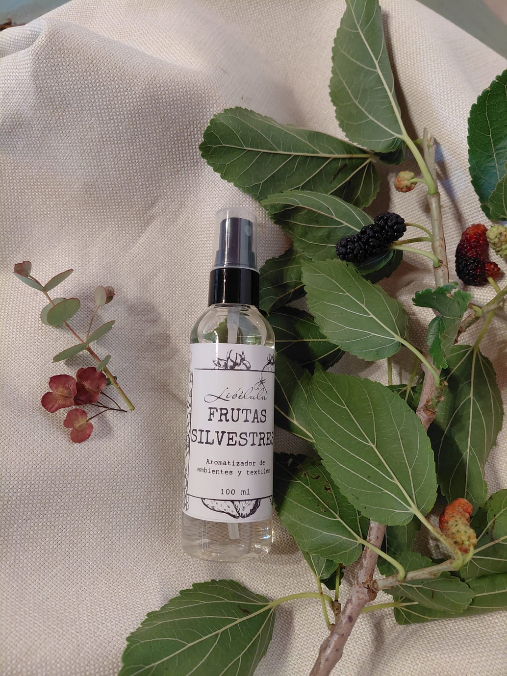 Frutas Silvestres  2