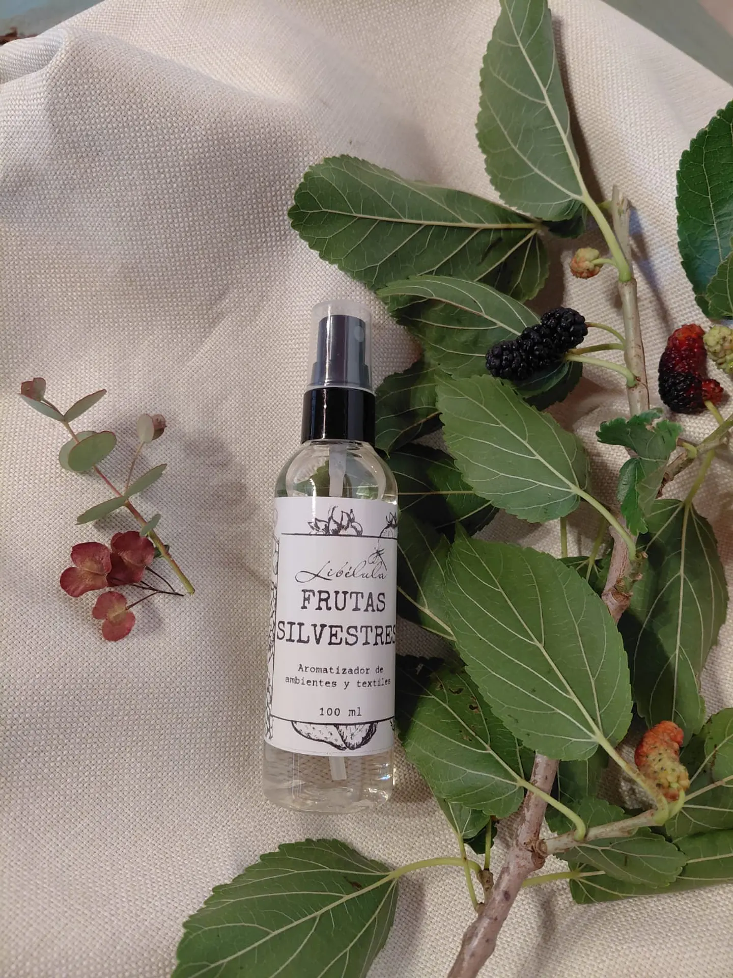 Frutas Silvestres  2