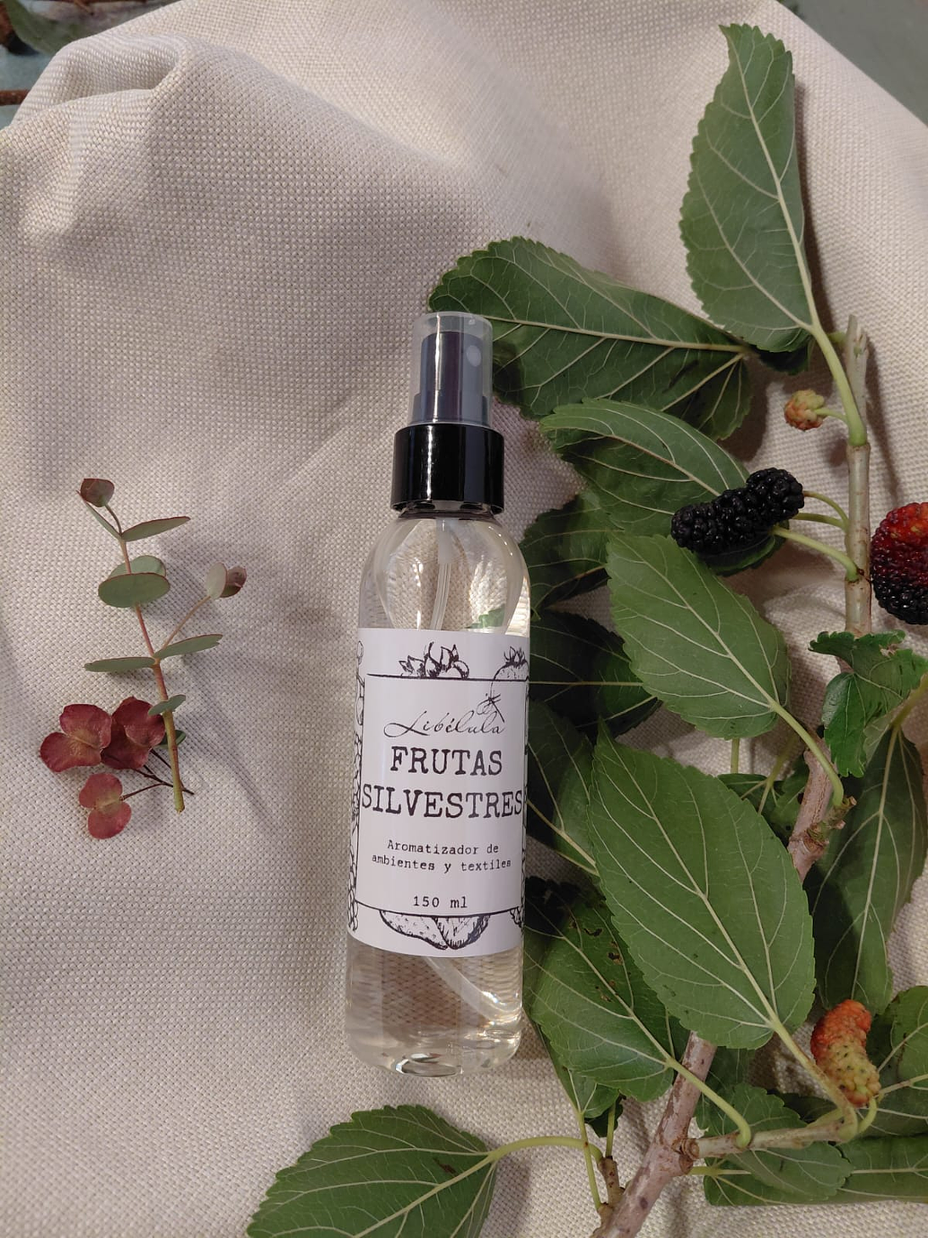 Frutas Silvestres  3