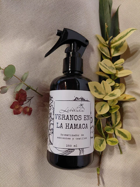 Veranos en la Hamaca