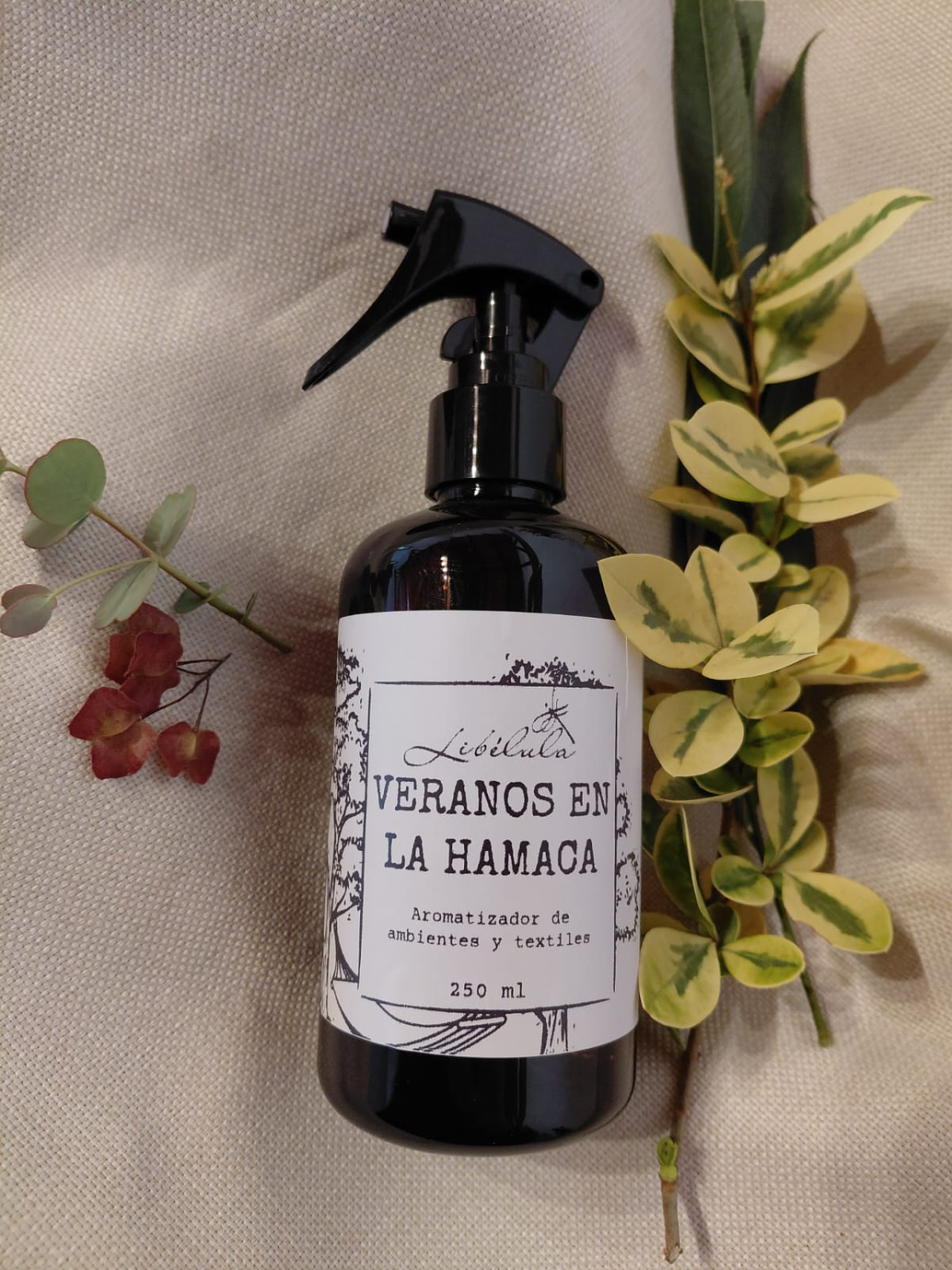 Veranos en la Hamaca 1