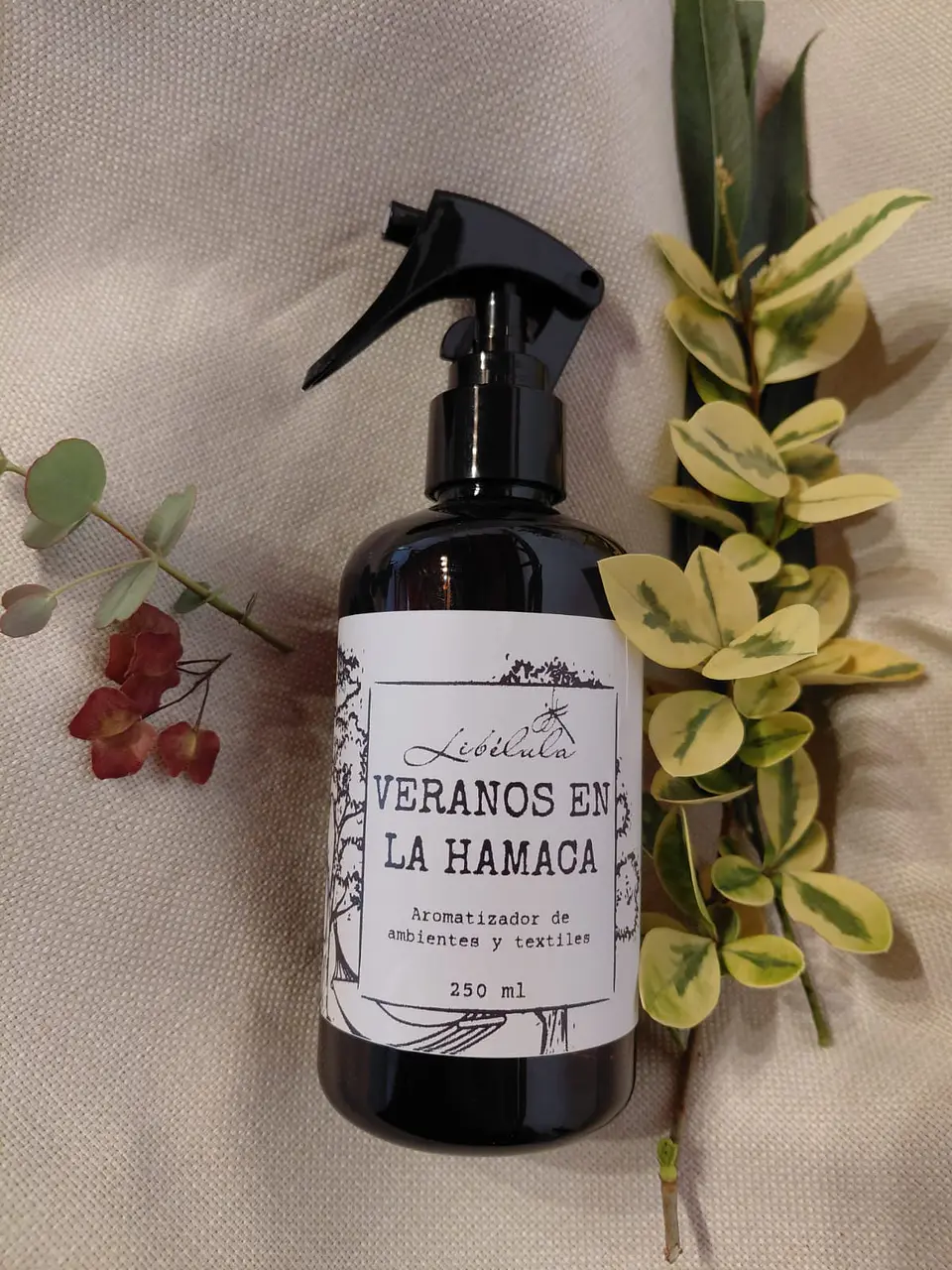 Veranos en la Hamaca 1