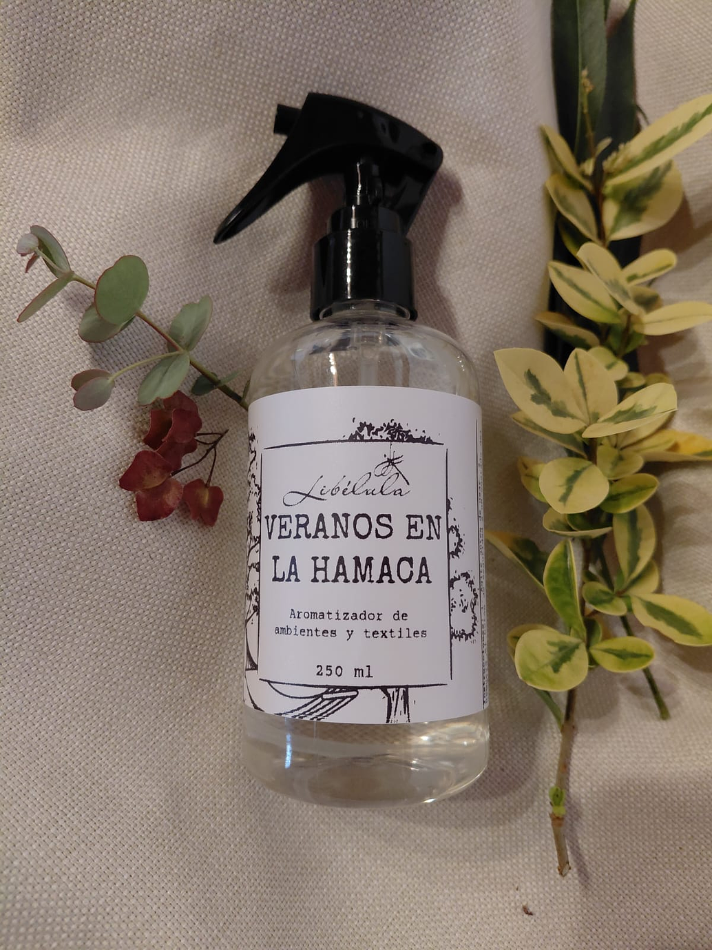 Veranos en la Hamaca 2