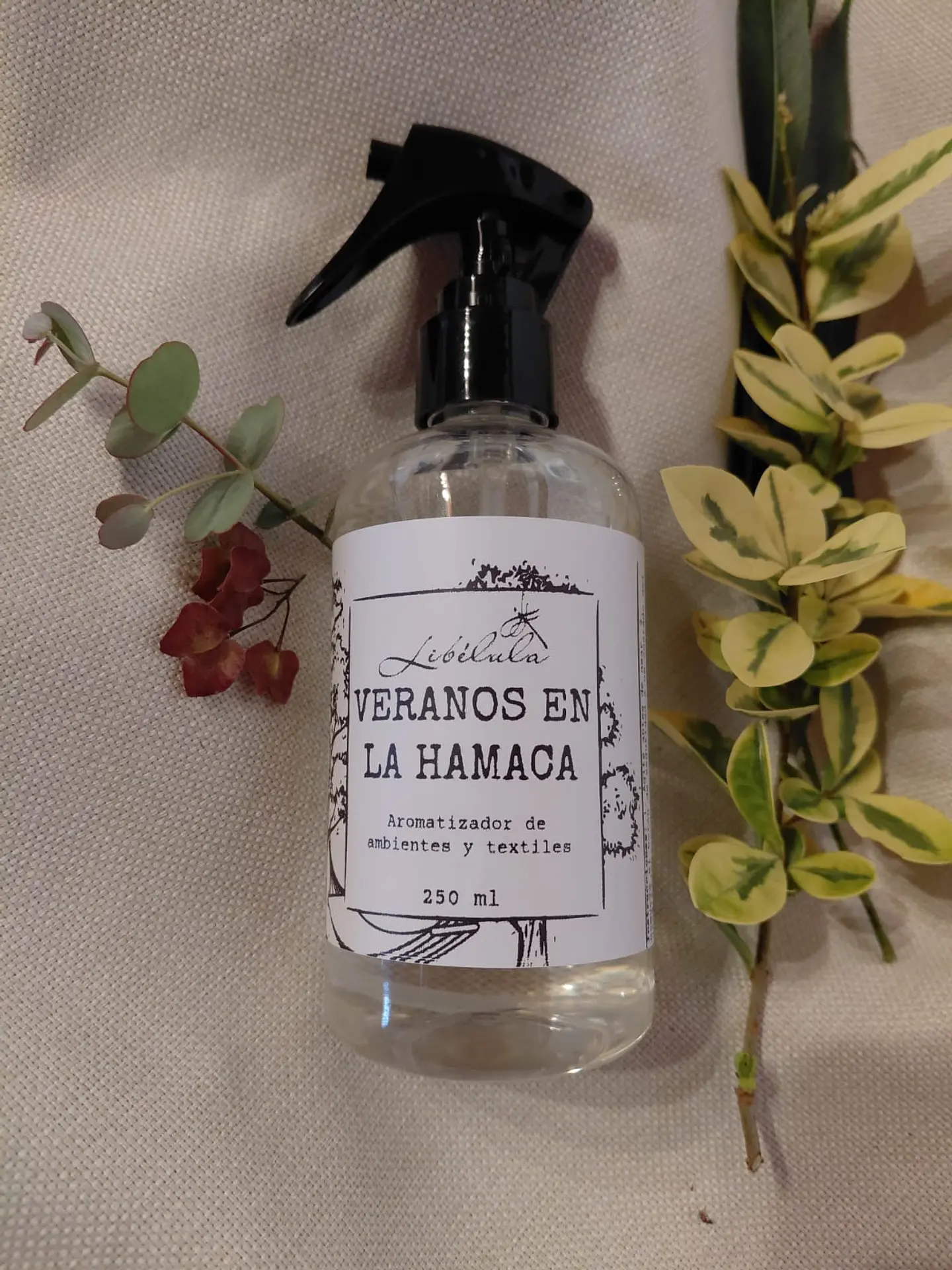 Veranos en la Hamaca 2