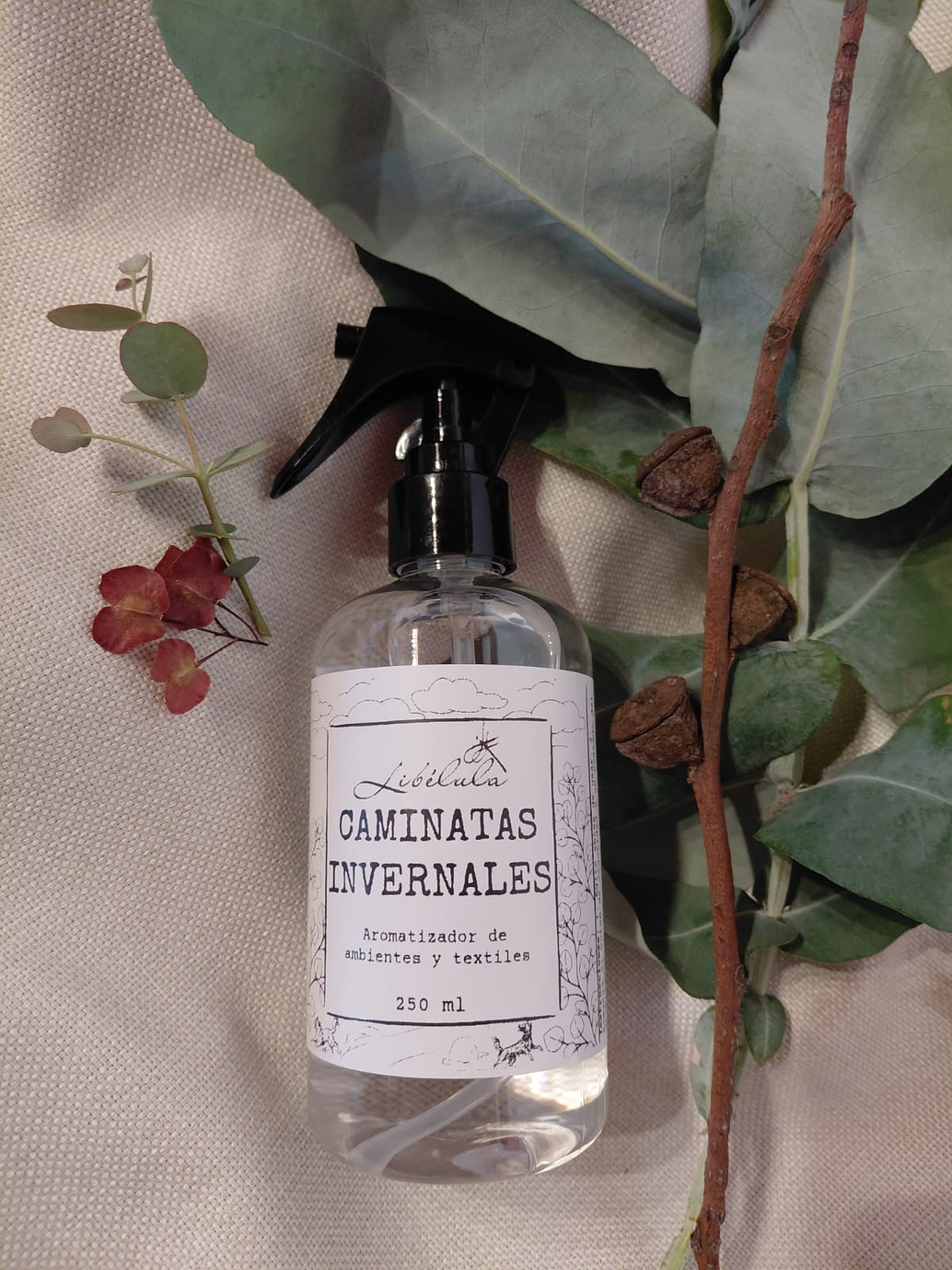 Caminatas Invernales 1