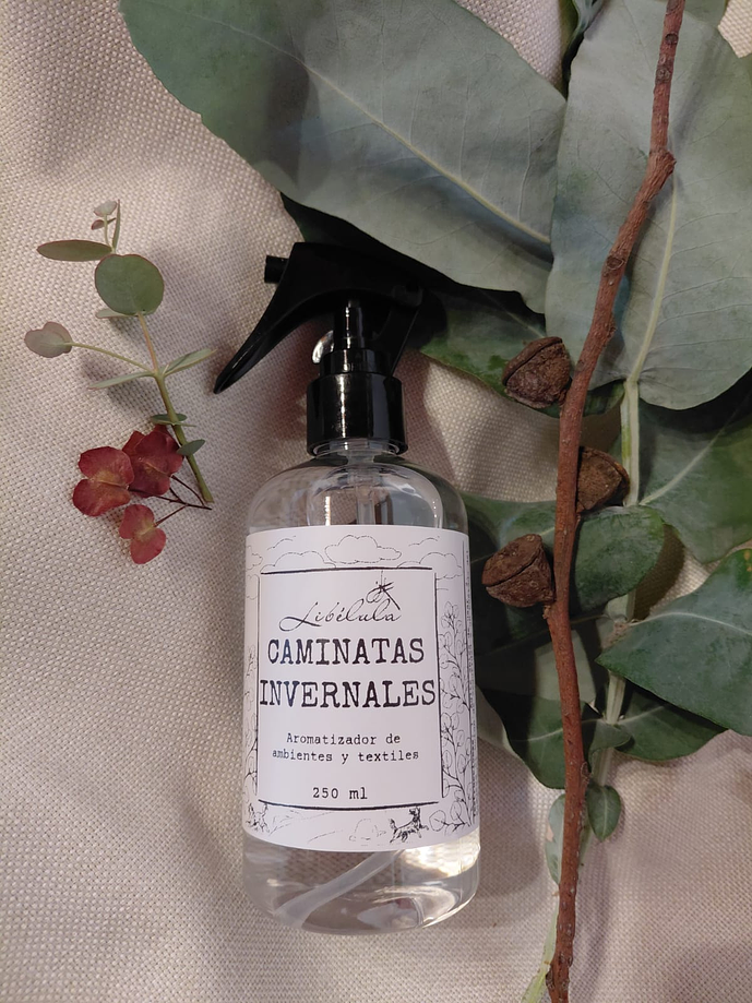 Caminatas Invernales 1