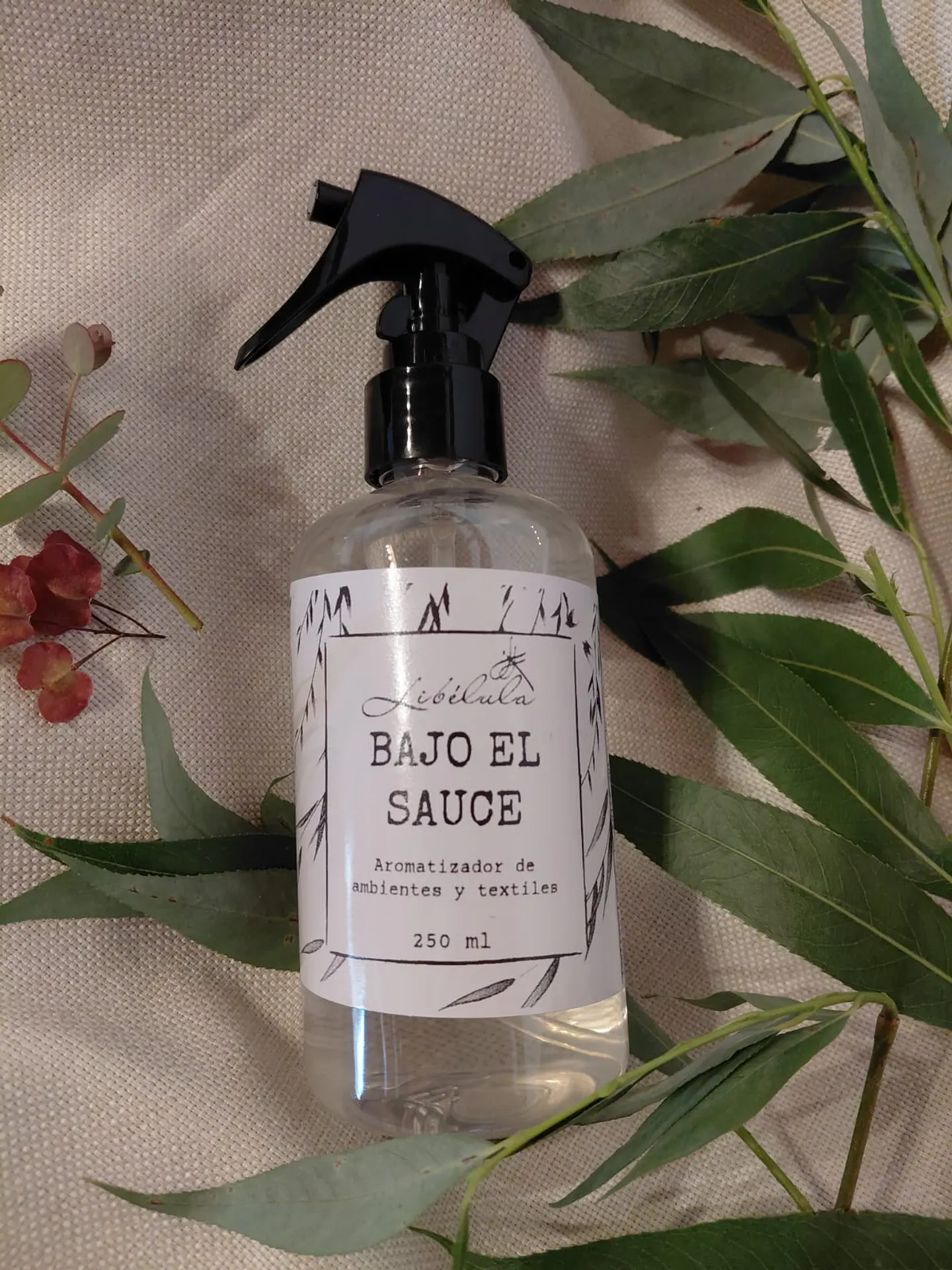 Bajo el Sauce 1