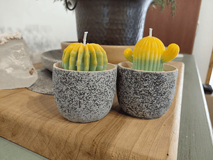 Vela Maceta Suculenta